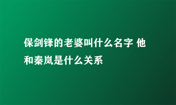 保剑锋的老婆叫什么名字 他和秦岚是什么关系