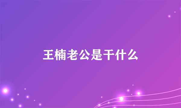 王楠老公是干什么