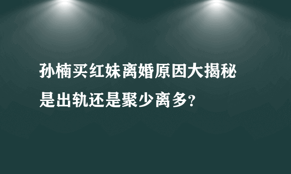 孙楠买红妹离婚原因大揭秘 是出轨还是聚少离多？