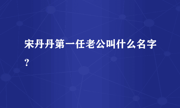 宋丹丹第一任老公叫什么名字？