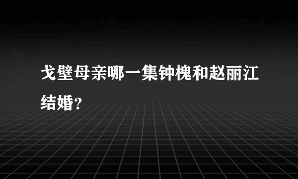 戈壁母亲哪一集钟槐和赵丽江结婚？