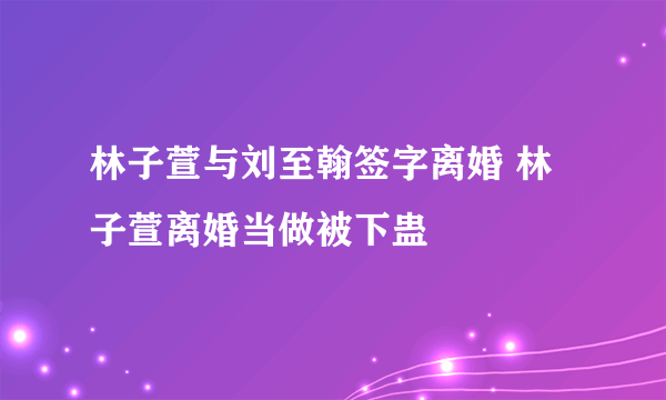 林子萱与刘至翰签字离婚 林子萱离婚当做被下蛊