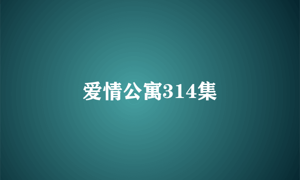 爱情公寓314集