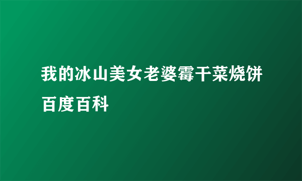 我的冰山美女老婆霉干菜烧饼百度百科