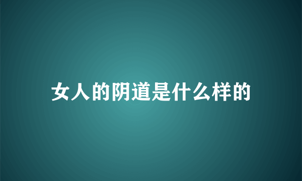 女人的阴道是什么样的