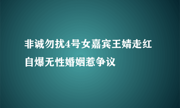 非诚勿扰4号女嘉宾王婧走红  自爆无性婚姻惹争议