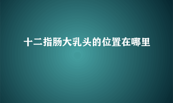 十二指肠大乳头的位置在哪里