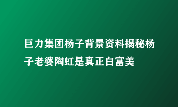 巨力集团杨子背景资料揭秘杨子老婆陶虹是真正白富美