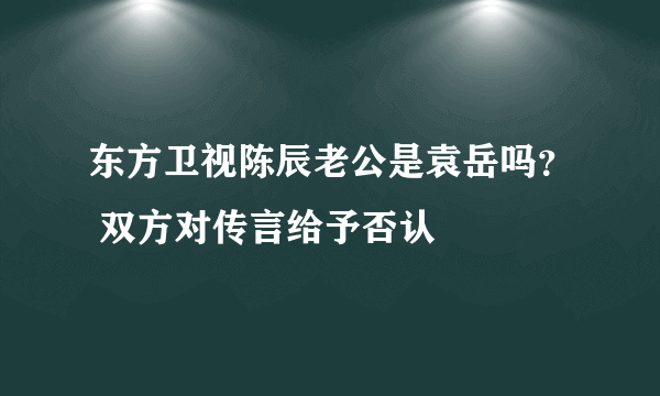 东方卫视陈辰老公是袁岳吗？ 双方对传言给予否认