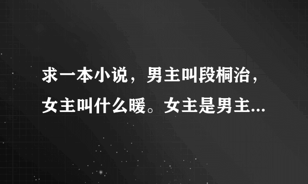 求一本小说，男主叫段桐治，女主叫什么暖。女主是男主老师，也是男主哥哥的女朋友。男主哥很坏。男主很叛？