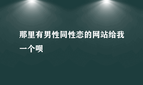 那里有男性同性恋的网站给我一个呗