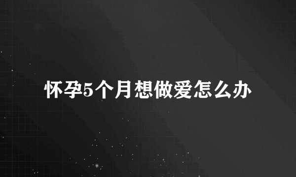 怀孕5个月想做爱怎么办