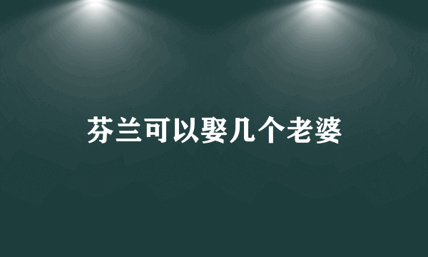 芬兰可以娶几个老婆