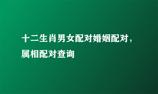 十二生肖男女配对婚姻配对，属相配对查询