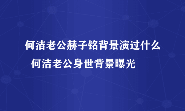 何洁老公赫子铭背景演过什么  何洁老公身世背景曝光