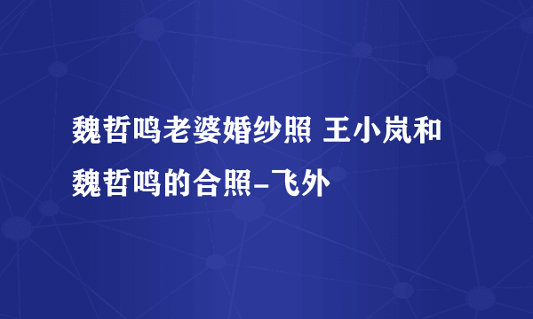 魏哲鸣老婆婚纱照 王小岚和魏哲鸣的合照-飞外