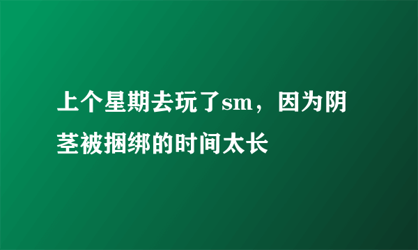 上个星期去玩了sm，因为阴茎被捆绑的时间太长