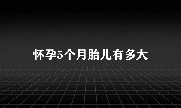 怀孕5个月胎儿有多大