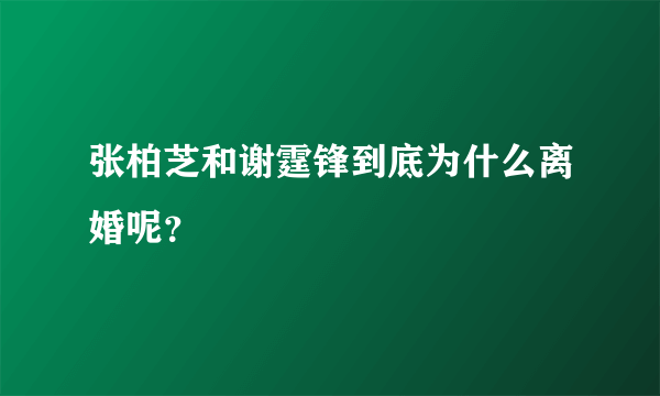 张柏芝和谢霆锋到底为什么离婚呢？