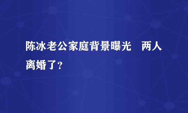 陈冰老公家庭背景曝光   两人离婚了？