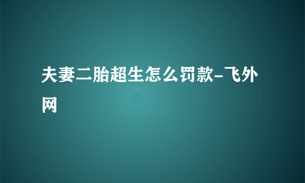 夫妻二胎超生怎么罚款-飞外网