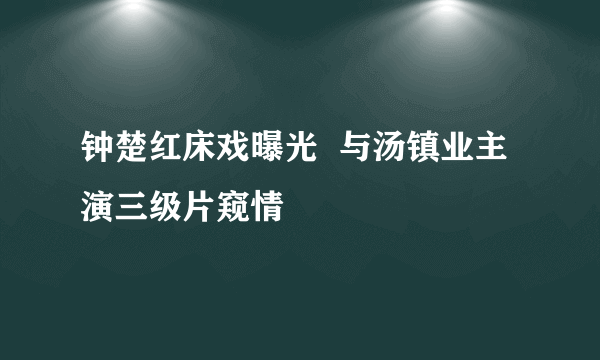 钟楚红床戏曝光  与汤镇业主演三级片窥情