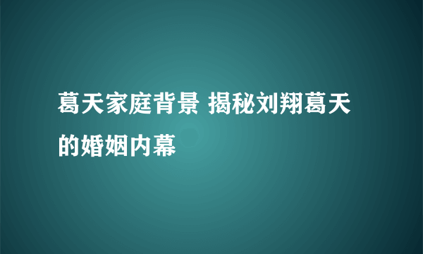 葛天家庭背景 揭秘刘翔葛天的婚姻内幕