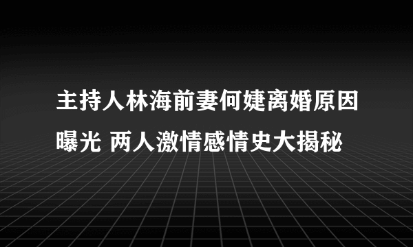 主持人林海前妻何婕离婚原因曝光 两人激情感情史大揭秘