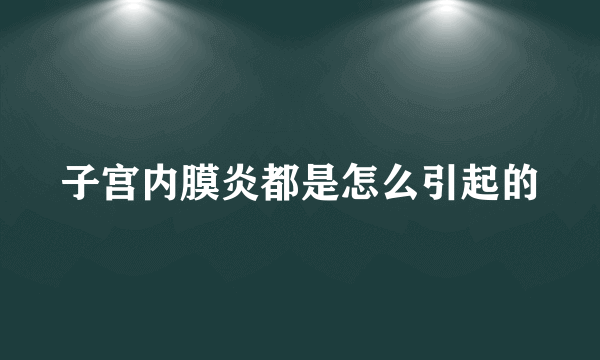 子宫内膜炎都是怎么引起的