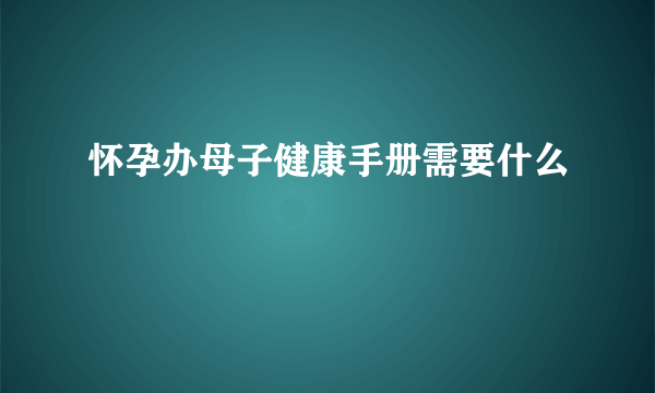 怀孕办母子健康手册需要什么