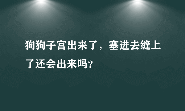 狗狗子宫出来了，塞进去缝上了还会出来吗？