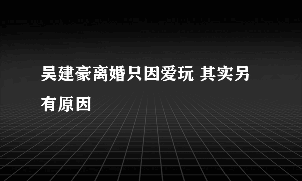 吴建豪离婚只因爱玩 其实另有原因