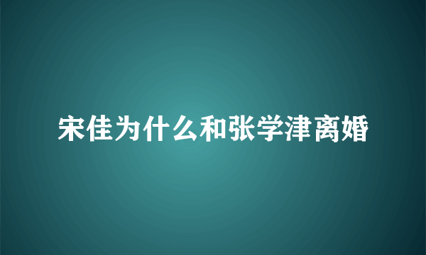 宋佳为什么和张学津离婚