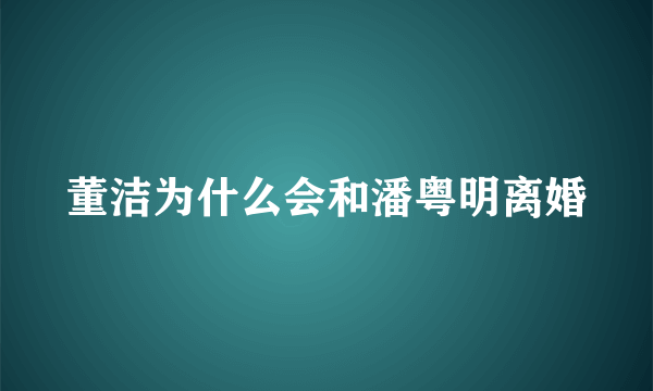 董洁为什么会和潘粤明离婚