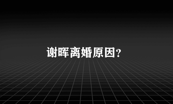 谢晖离婚原因？