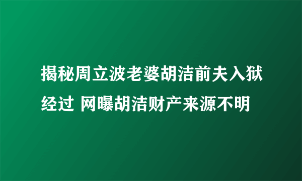 揭秘周立波老婆胡洁前夫入狱经过 网曝胡洁财产来源不明