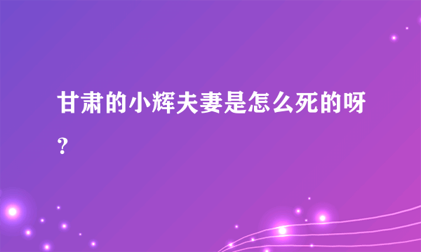 甘肃的小辉夫妻是怎么死的呀？