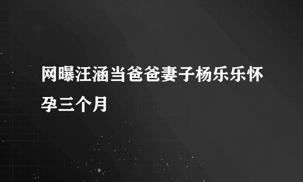 网曝汪涵当爸爸妻子杨乐乐怀孕三个月