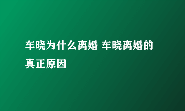 车晓为什么离婚 车晓离婚的真正原因