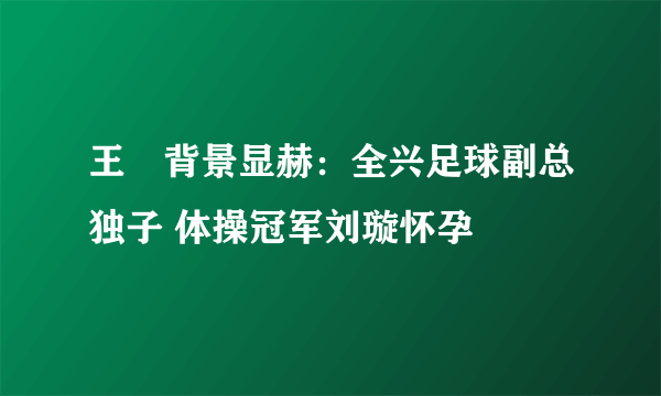 王弢背景显赫：全兴足球副总独子 体操冠军刘璇怀孕