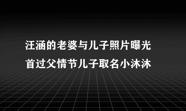 汪涵的老婆与儿子照片曝光 首过父情节儿子取名小沐沐