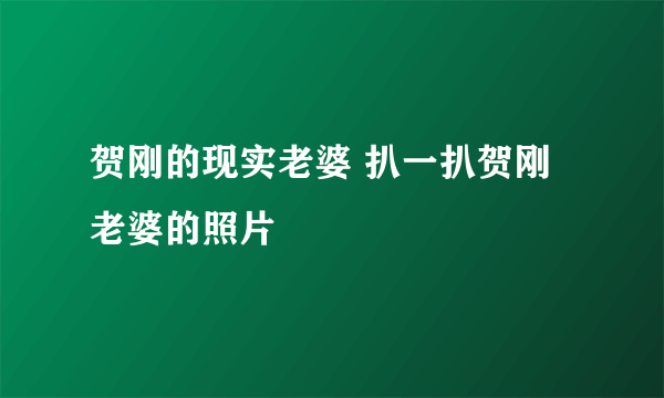 贺刚的现实老婆 扒一扒贺刚老婆的照片