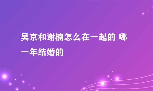 吴京和谢楠怎么在一起的 哪一年结婚的