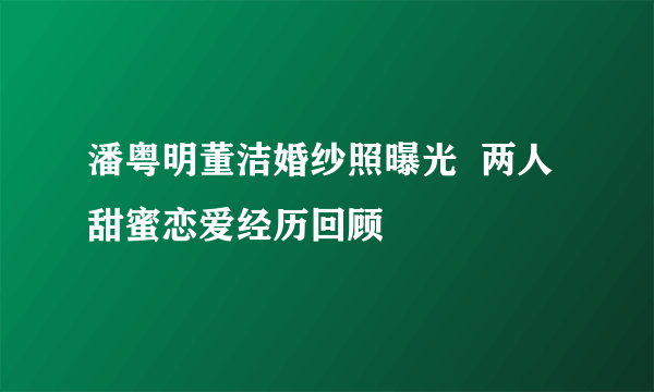 潘粤明董洁婚纱照曝光  两人甜蜜恋爱经历回顾