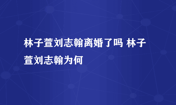 林子萱刘志翰离婚了吗 林子萱刘志翰为何