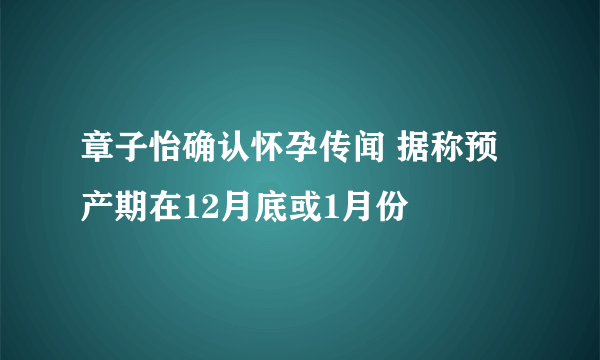 章子怡确认怀孕传闻 据称预产期在12月底或1月份