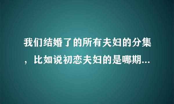 我们结婚了的所有夫妇的分集，比如说初恋夫妇的是哪期，红薯夫妇的是哪几期。第二季和最新季的都要