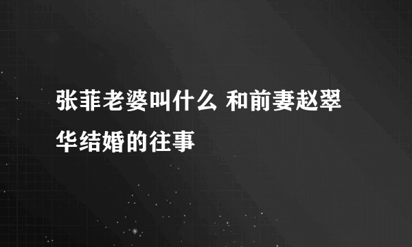 张菲老婆叫什么 和前妻赵翠华结婚的往事