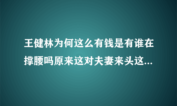 王健林为何这么有钱是有谁在撑腰吗原来这对夫妻来头这么大-趣闻趣事-飞外网