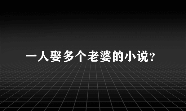 一人娶多个老婆的小说？